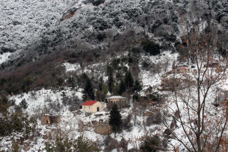 Κούτελη